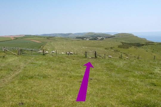 Walking direction photo: 13 for walk West Bottom, Lulworth, Dorset, Jurassic Coast.