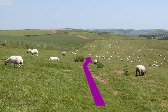 Walk direction photograph: 14 for walk West Bottom, Lulworth, Dorset, South West England.