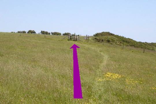 Walking direction photo: 17 for walk West Bottom, Lulworth, Dorset, Jurassic Coast.