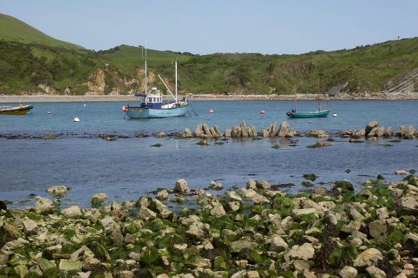 Picture, Photo, View of Lulworth, Dorset
