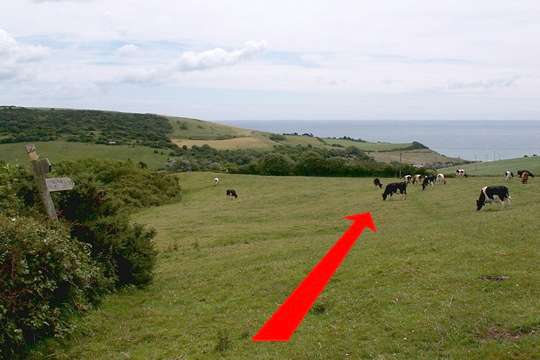 Walk direction photograph: 8 for walk Osmington Mills, Osmington, Dorset, South West England.