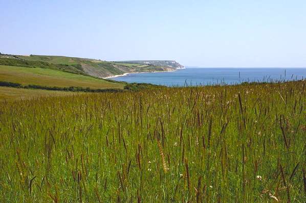 Picture, Photo, View of Osmington, Dorset