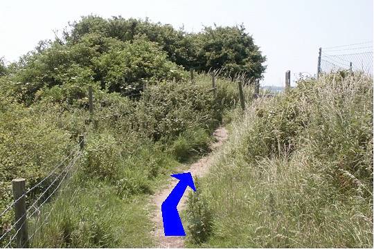 Walk direction photograph: 4 for walk Redcliff Point, Osmington, Dorset, South West England.