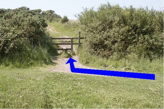 Walk direction photograph: 8 for walk Redcliff Point, Osmington, Dorset, South West England.