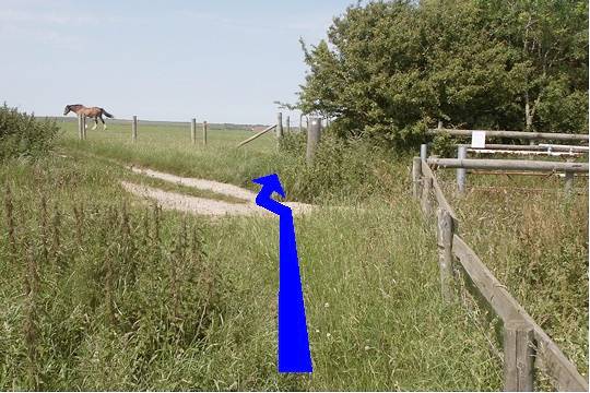 Walking direction photo: 21 for walk Redcliff Point, Osmington, Dorset, Jurassic Coast.