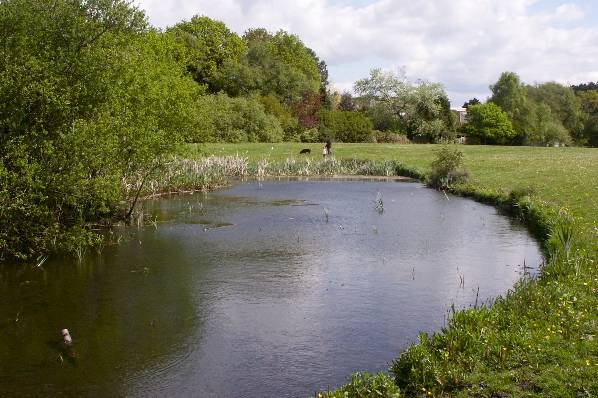 Picture, Photo, View of Rossmore Leisure Centre, Dorset