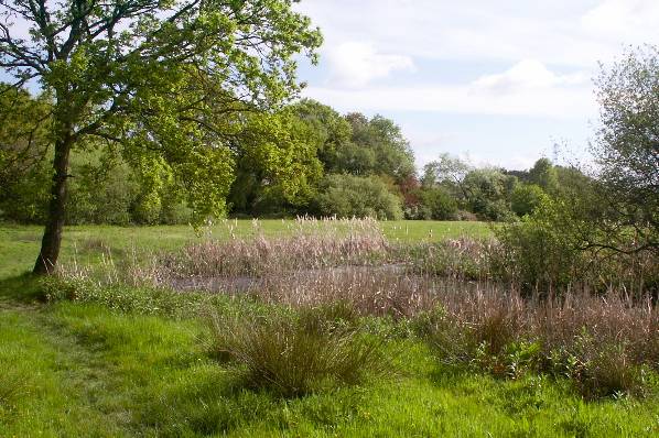 Picture, Photo, View of Rossmore Leisure Centre, Dorset