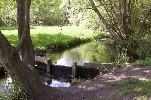 Picture, Photo, View of Rossmore Leisure Centre, Dorset