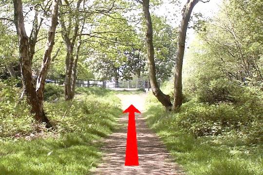 Walk direction photograph: 9 for walk Bourne Valley, Rossmore Leisure Centre, Dorset, South West England.