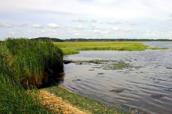 Picture, Photo, View of Turlin Moor, Dorset
