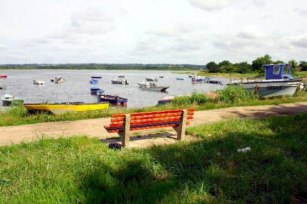 Picture, Photo, View of Turlin Moor, Dorset