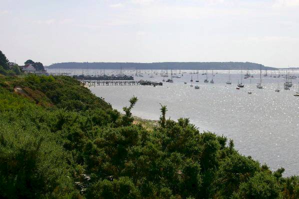 Picture, Photo, View of Turlin Moor, Dorset