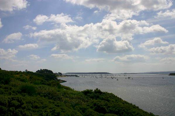 Picture, Photo, View of Turlin Moor, Dorset
