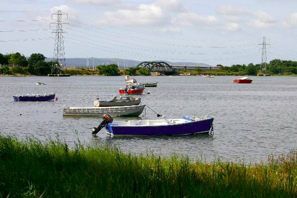 Picture, Photo, View of Turlin Moor, Dorset