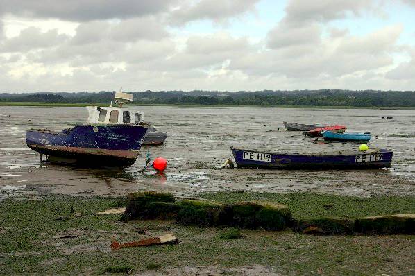 Picture, Photo, View of Turlin Moor, Dorset