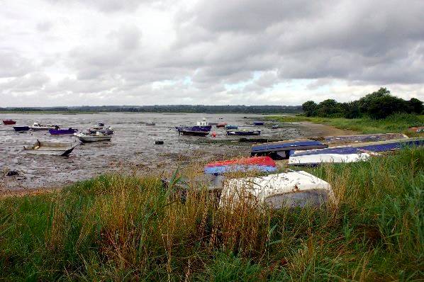 Picture, Photo, View of Turlin Moor, Dorset