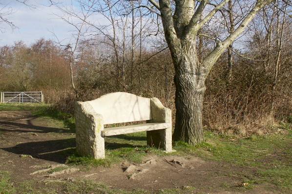 Picture, Photo, View of Upton Park, Dorset