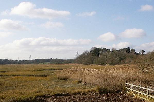 Picture, Photo, View of Upton Park, Dorset