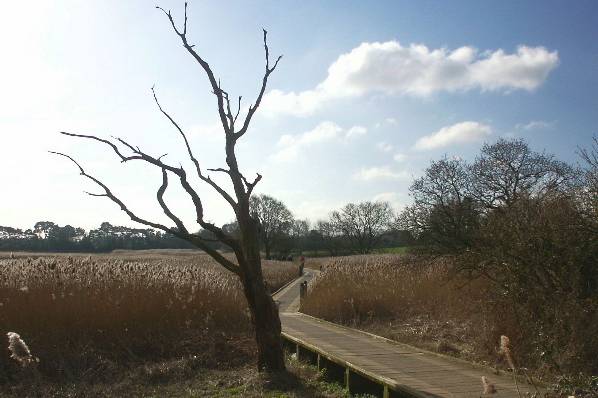 Picture, Photo, View of Upton Park, Dorset