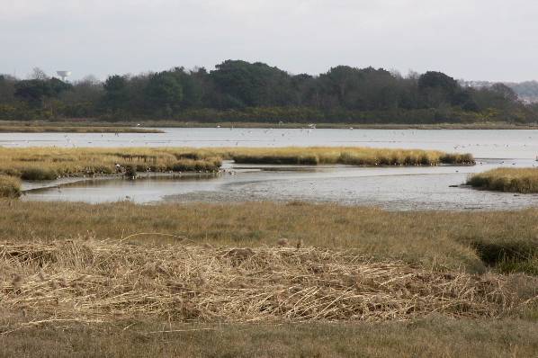 Picture, Photo, View of Upton Park, Dorset