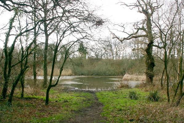 Picture, Photo, View of Upton Park, Dorset