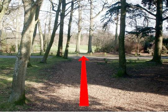 Walk direction photograph: 2 for walk Around the park, Upton Park, Dorset, South West England.