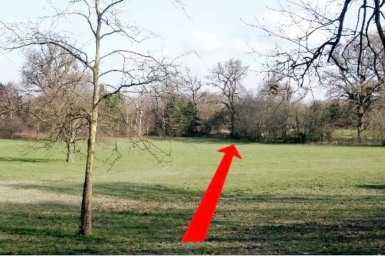 Walking direction photo: 3 for walk Around the park, Upton Park, Dorset.