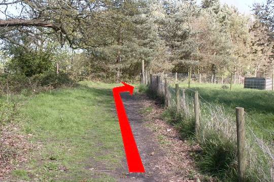 Walking direction photo: 5 for walk Around the park, Upton Park, Dorset.