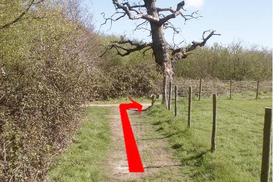 Walk direction photograph: 6 for walk Around the park, Upton Park, Dorset, South West England.