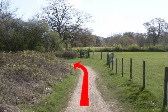 Walking direction photo: 7 for walk Around the park, Upton Park, Dorset.