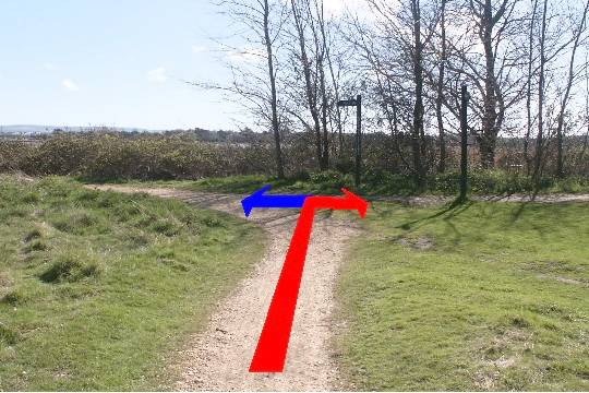 Walk direction photograph: 8 for walk Around the park, Upton Park, Dorset, South West England.