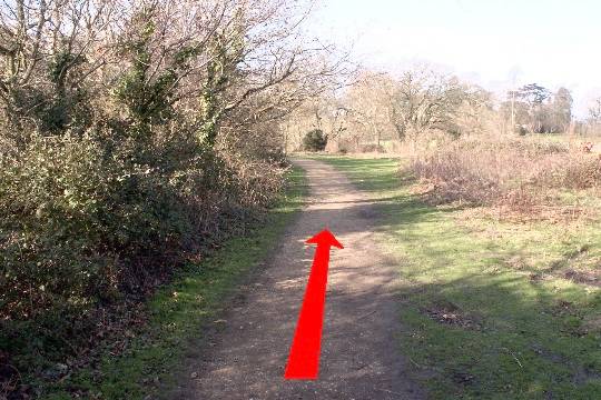 Walk direction photograph: 11 for walk Around the park, Upton Park, Dorset, South West England.