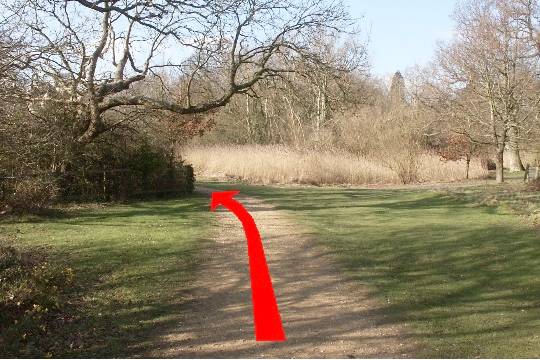 Walking direction photo: 12 for walk Around the park, Upton Park, Dorset.