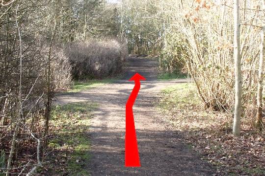 Walking direction photo: 14 for walk Around the park, Upton Park, Dorset.