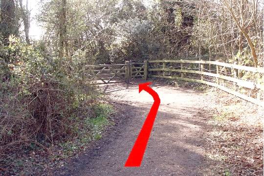 Walk direction photograph: 15 for walk Around the park, Upton Park, Dorset, South West England.