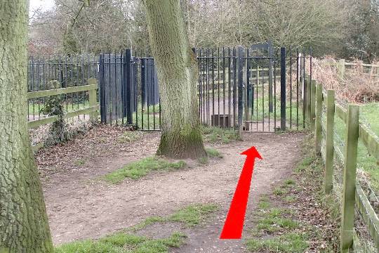 Walking direction photo: 16 for walk Around the park, Upton Park, Dorset.