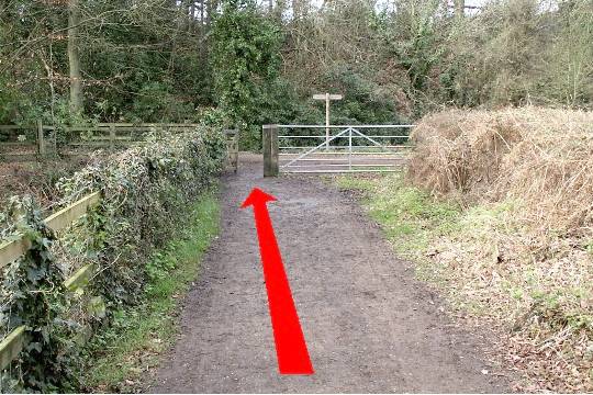 Walking direction photo: 18 for walk Around the park, Upton Park, Dorset.