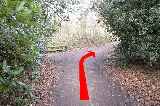 Walking direction photo: 20 for walk Around the park, Upton Park, Dorset.