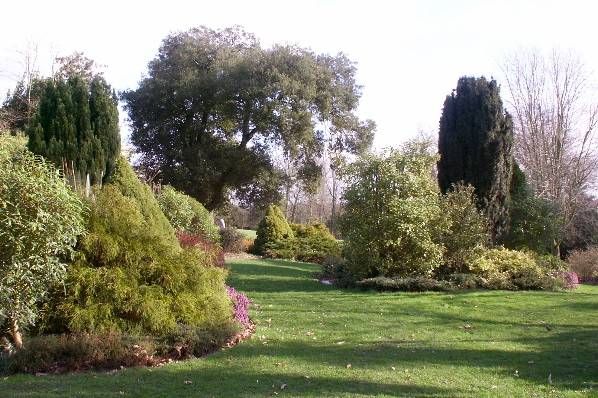Picture, Photo, View of Upton Park, Dorset