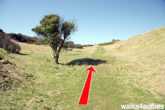 Walking direction photo: 7 for walk Dancing Ledge, Durlston, Dorset, Jurassic Coast.