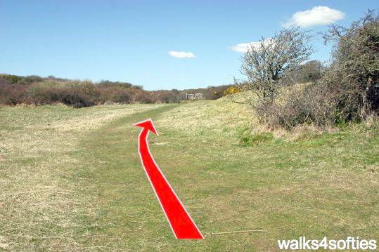 Walk direction photograph: 8 for walk Dancing Ledge, Durlston, Dorset, South West England.