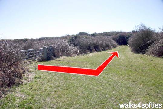 Walk direction photograph: 10 for walk Dancing Ledge, Durlston, Dorset, South West England.