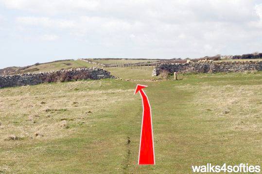 Walk direction photograph: 14 for walk Dancing Ledge, Durlston, Dorset, South West England.