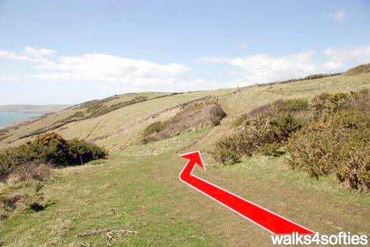 Walk direction photograph: 16 for walk Dancing Ledge, Durlston, Dorset, South West England.