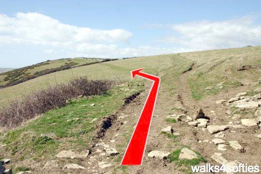 Walking direction photo: 17 for walk Dancing Ledge, Durlston, Dorset, Jurassic Coast.