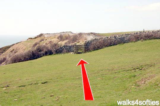Walk direction photograph: 22 for walk Dancing Ledge, Durlston, Dorset, South West England.