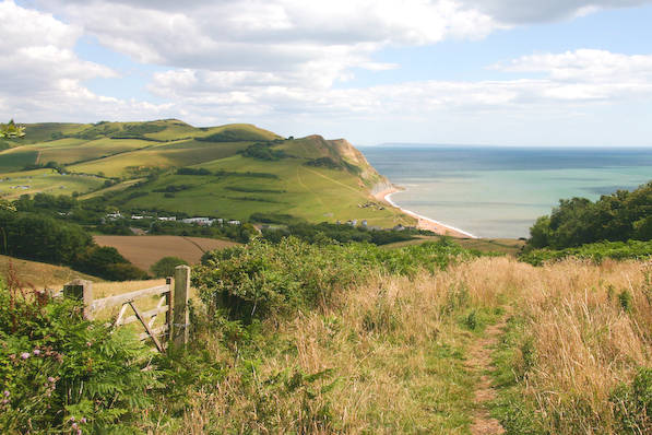 Picture, Photo, View of Seatown, Dorset