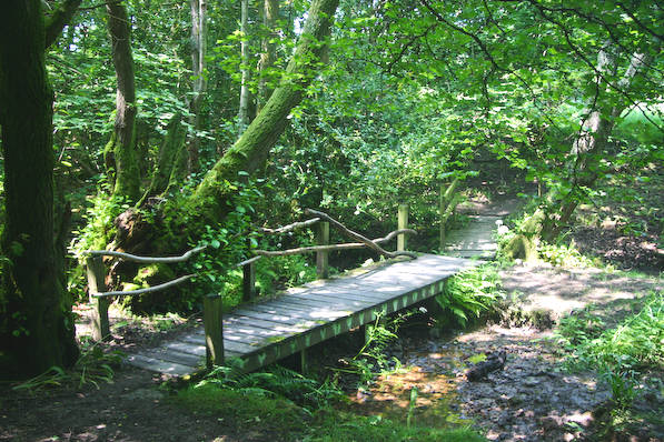 Picture, Photo, View of Seatown, Dorset