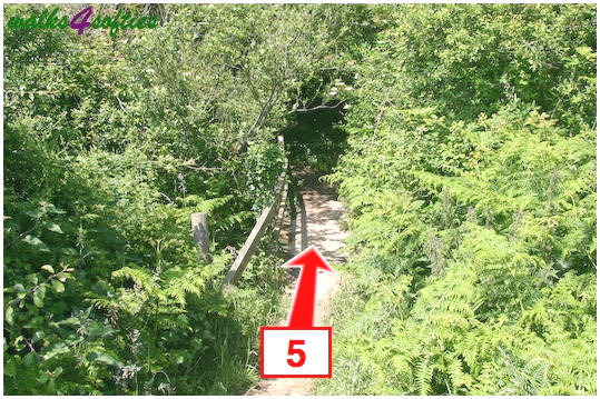 Walking direction photo: 5 for walk St Gabriel's and Langdon Hill, Seatown, Dorset, Jurassic Coast.