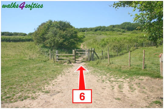 Walk direction photograph: 6 for walk St Gabriel's and Langdon Hill, Seatown, Dorset, South West England.